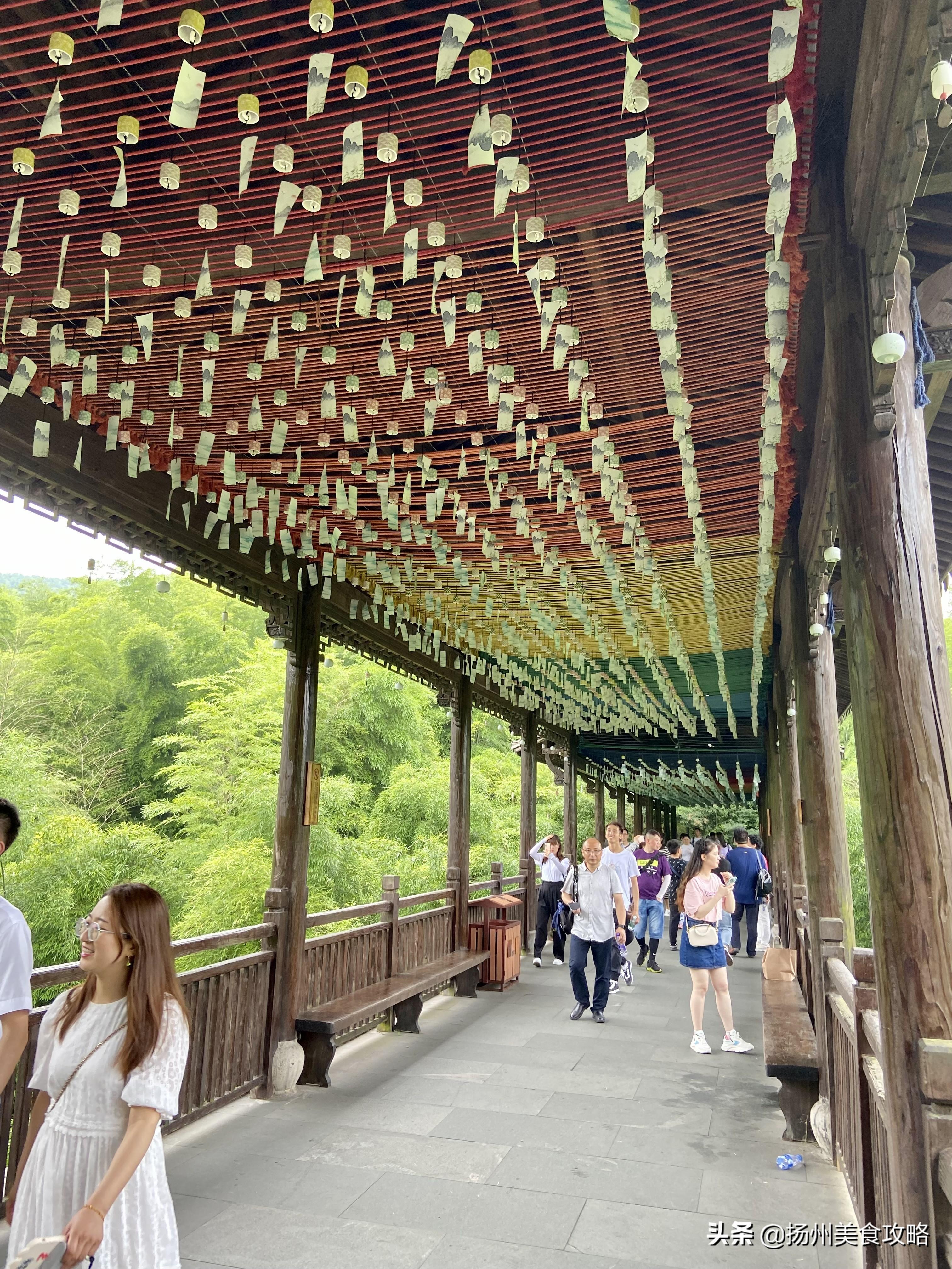 天目湖南山竹海旅游攻略_南山竹海天目湖_南山攻略旅游竹海天目湖路线
