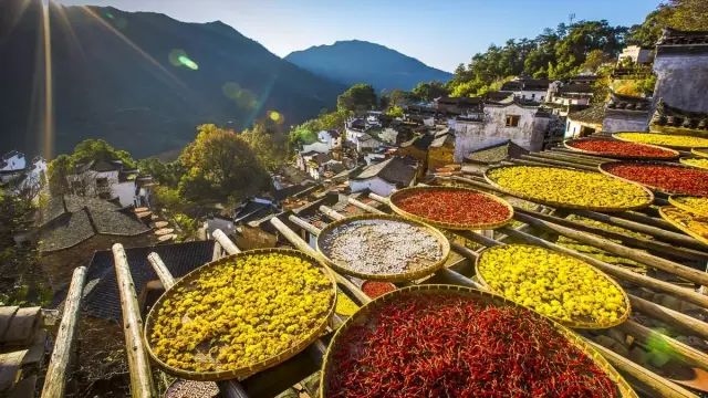 婺源秋景摄影攻略_婺源秋色旅游攻略_婺源秋景