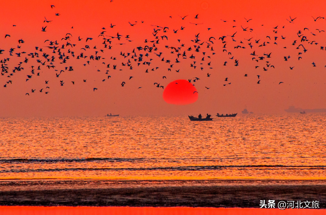 北戴河冬天旅游攻略必玩的景点_北戴河冬天旅游攻略_北戴河冬季旅游景点