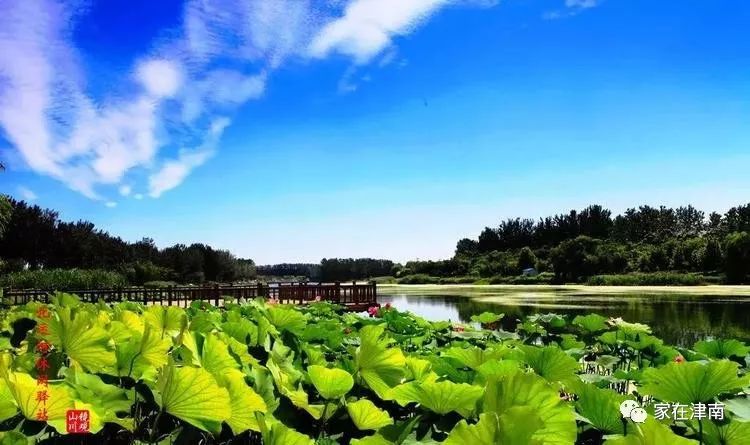 天津绿博园旅游攻略-天津绿博园一日游攻略(图16) 天津绿博园一日游攻略_天津绿博园旅游攻略_天津绿博园的风景和介绍