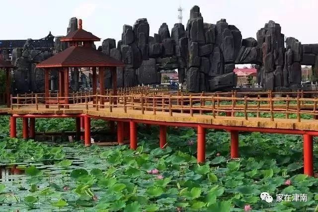 天津绿博园旅游攻略-天津绿博园一日游攻略(图23) 天津绿博园旅游攻略_天津绿博园的风景和介绍_天津绿博园一日游攻略
