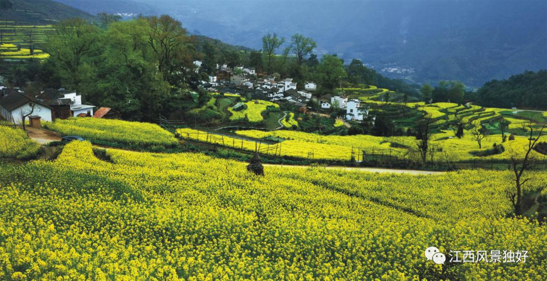 婺源西线旅游景点_婺源西线最值得去的三个景点_婺源西线旅游攻略