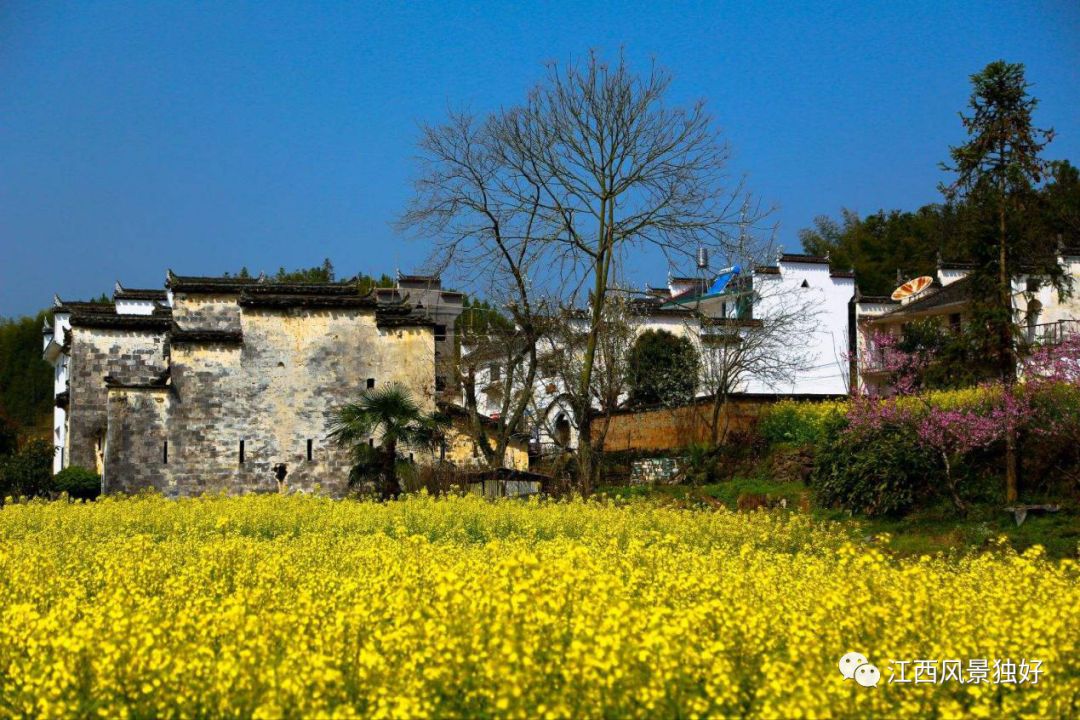 婺源西线最值得去的三个景点_婺源西线旅游攻略_婺源西线旅游景点