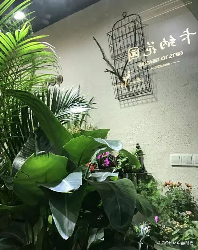 中赫时尚花艺-时尚中赫花艺怎么样(图4) 中赫时尚花艺师出来的人怎么样_中赫时尚花艺_时尚中赫花艺怎么样