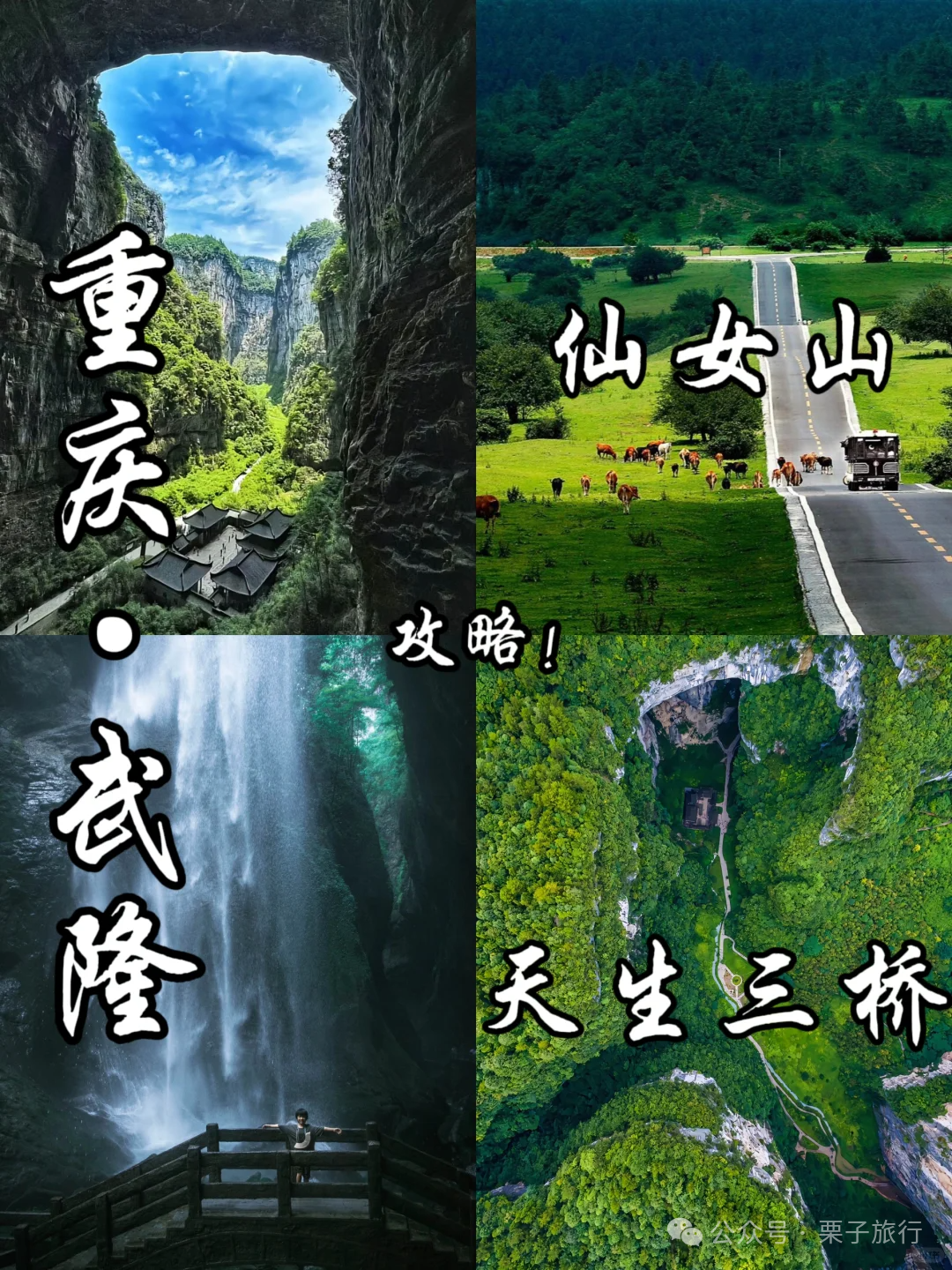 仙女山旅游攻略2024_仙女山景区旅游攻略_仙女山旅游攻略一天游