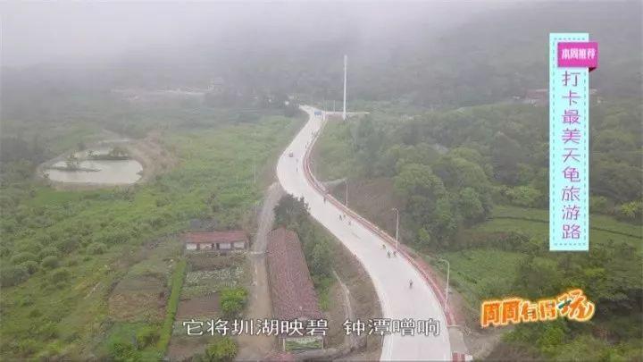 莆田凤凰山公园_莆田凤凰山风景区在哪里_莆田凤凰山旅游攻略