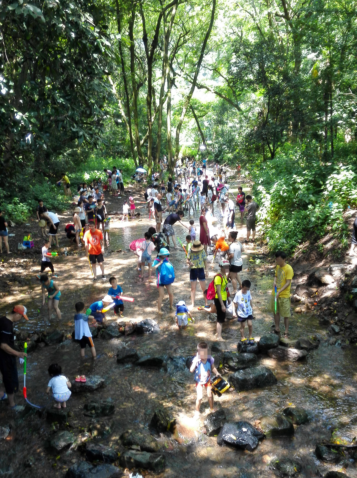 杭州九溪烟树游玩攻略_杭州九溪烟树旅游攻略_杭州九溪老烟树