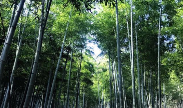 余杭山沟沟旅游攻略_杭州余杭山沟沟旅游攻略_余杭山沟沟自驾攻略