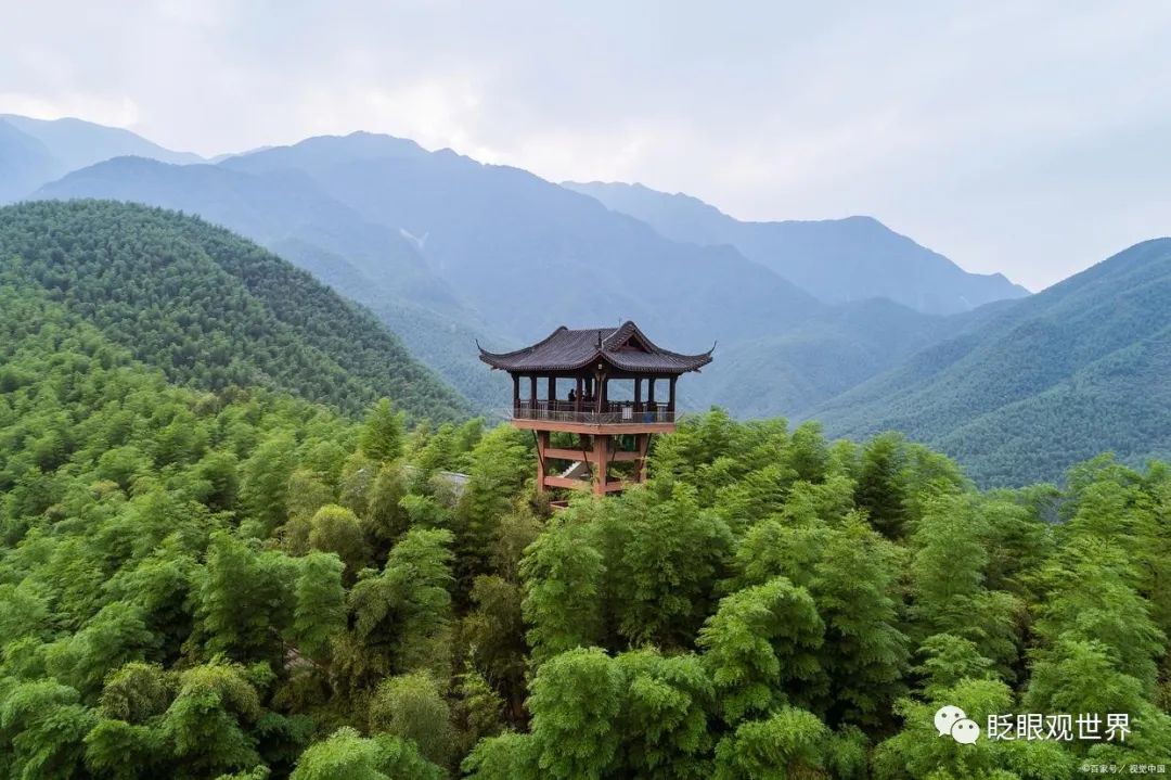 德清莫干山门票价格_德清莫干山风景区攻略_德清莫干山旅游攻略