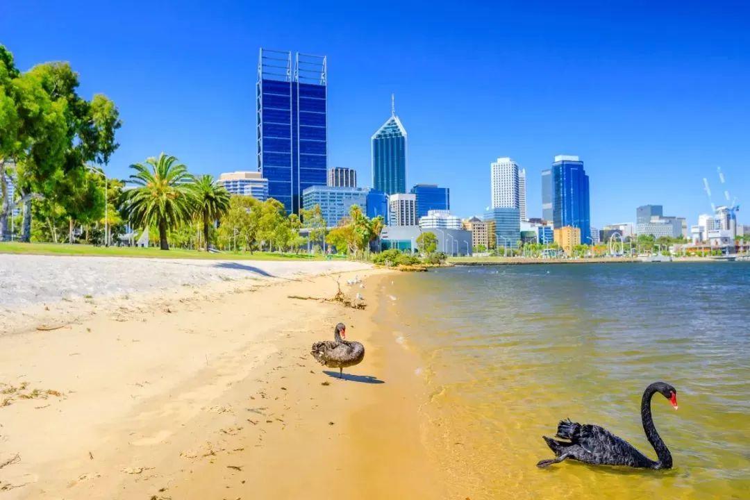 澳大利亚的凯恩斯_澳大利亚凯恩斯旅游景点_澳大利亚凯恩斯旅游攻略
