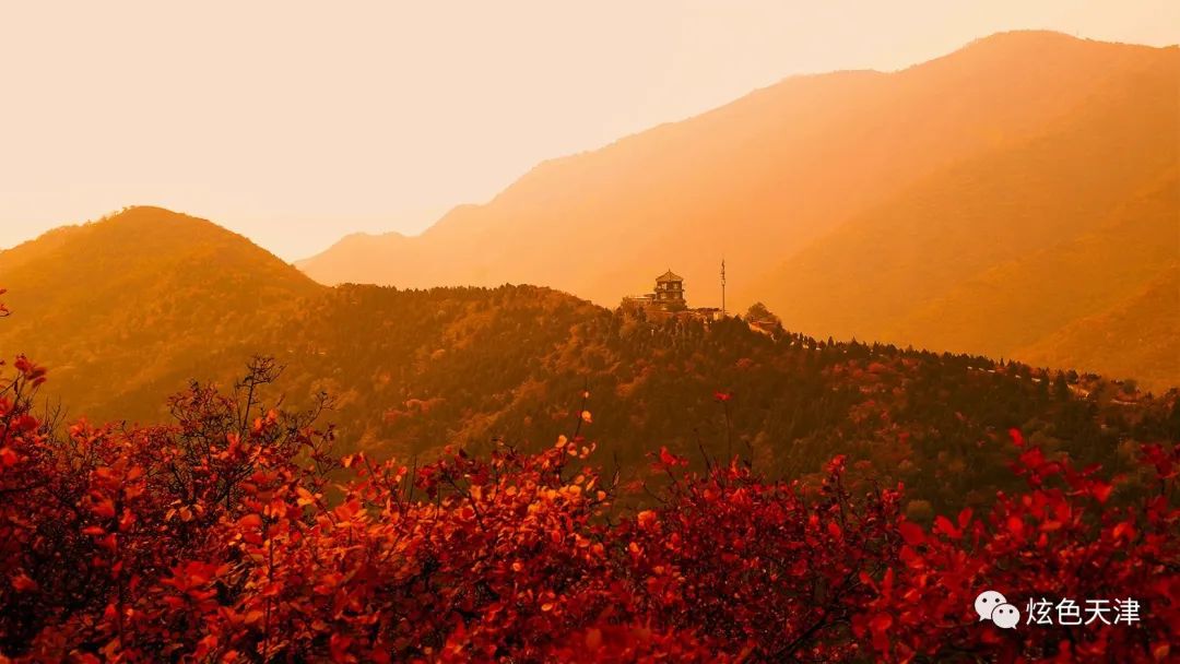 北京香山旅游攻略_北京香山攻略_北京香山旅游攻略一日游