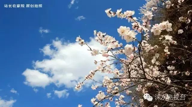 涞水野三坡旅游攻略_涞水野三坡景区门票_涞水野三坡景区