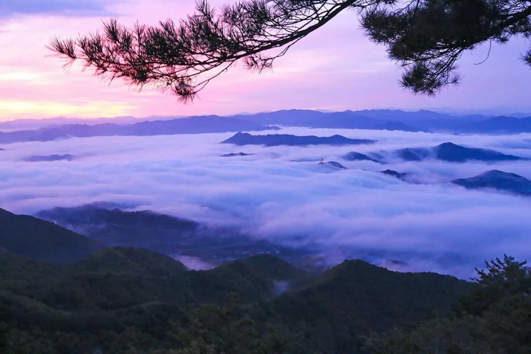 兰州去沙漠最近怎么走_兰州到沙湖旅游攻略_兰州到沙湖开车几个小时