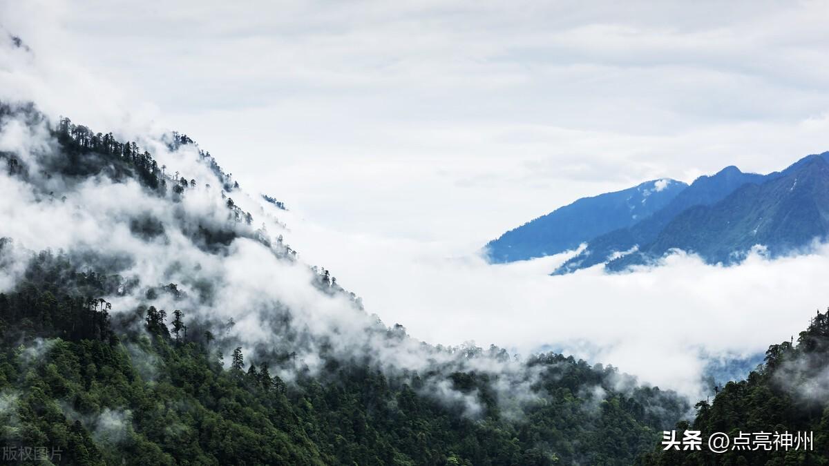 西藏墨脱旅游攻略_西藏墨脱旅游景点笔记_西藏墨脱旅游视频
