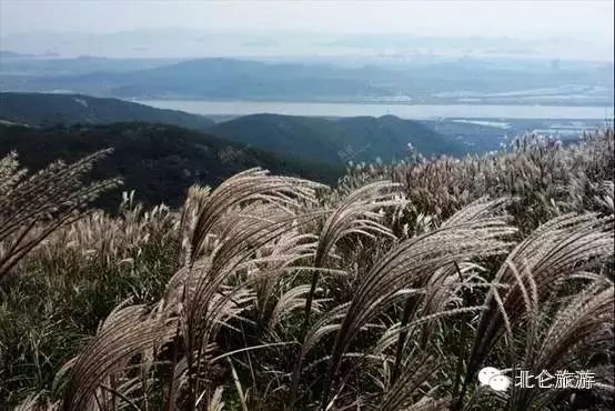 北仑白峰哪里好玩_攻略旅游北仑峰山路线_北仑九峰山旅游攻略