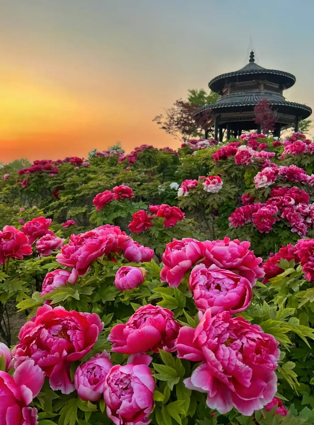 洛阳市内旅游攻略-洛阳市内游玩攻略(图2) 洛阳攻略旅游市内景点推荐_洛阳市内旅游攻略_洛阳市内游玩攻略