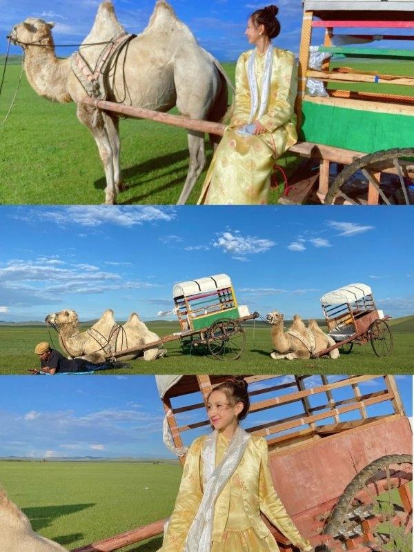 阿拉善盟旅游攻略_阿拉善盟旅游景点攻略_阿拉善盟游玩攻略