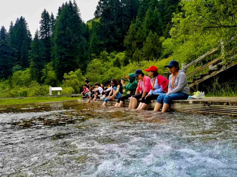 都江堰青城山旅游官网_都江堰青城山旅游攻略一日游_青城山都江堰旅游攻略