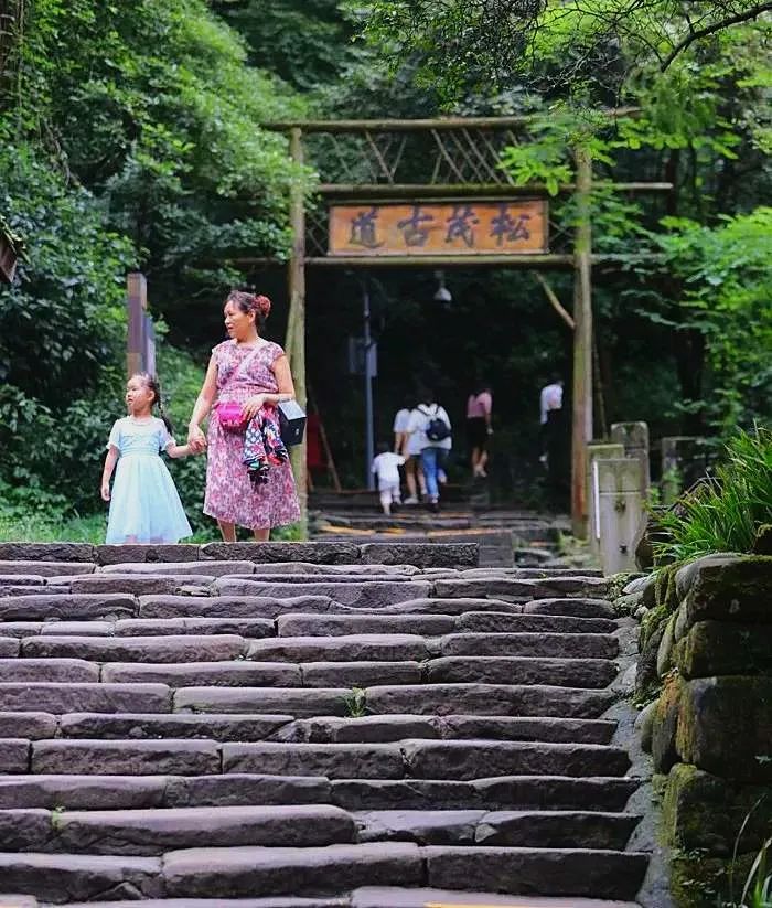 都江堰青城山旅游官网_都江堰青城山好玩吗_青城山都江堰旅游攻略