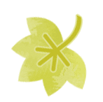 天柱山旅游区_天柱山旅游网_天柱山旅游攻略2024
