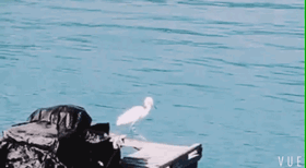 巴厘岛金沙滩在哪_巴厘岛金银岛旅游攻略_巴厘岛度假胜地