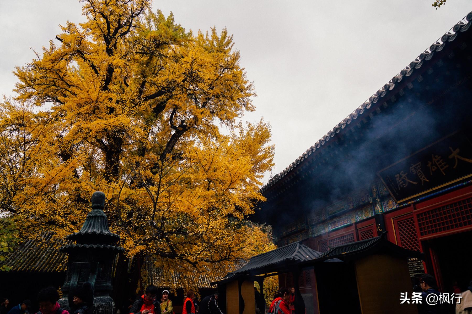 北京红螺寺的位置_北京红螺寺旅游攻略_北京红螺寺2021年图片