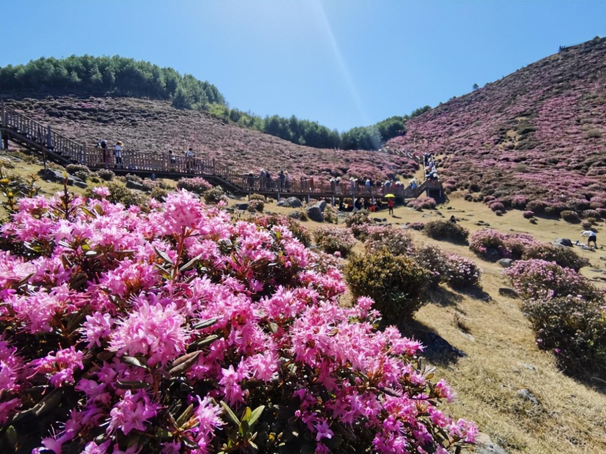 禄劝旅游攻略_禄劝旅游项目有哪些_禄劝旅游