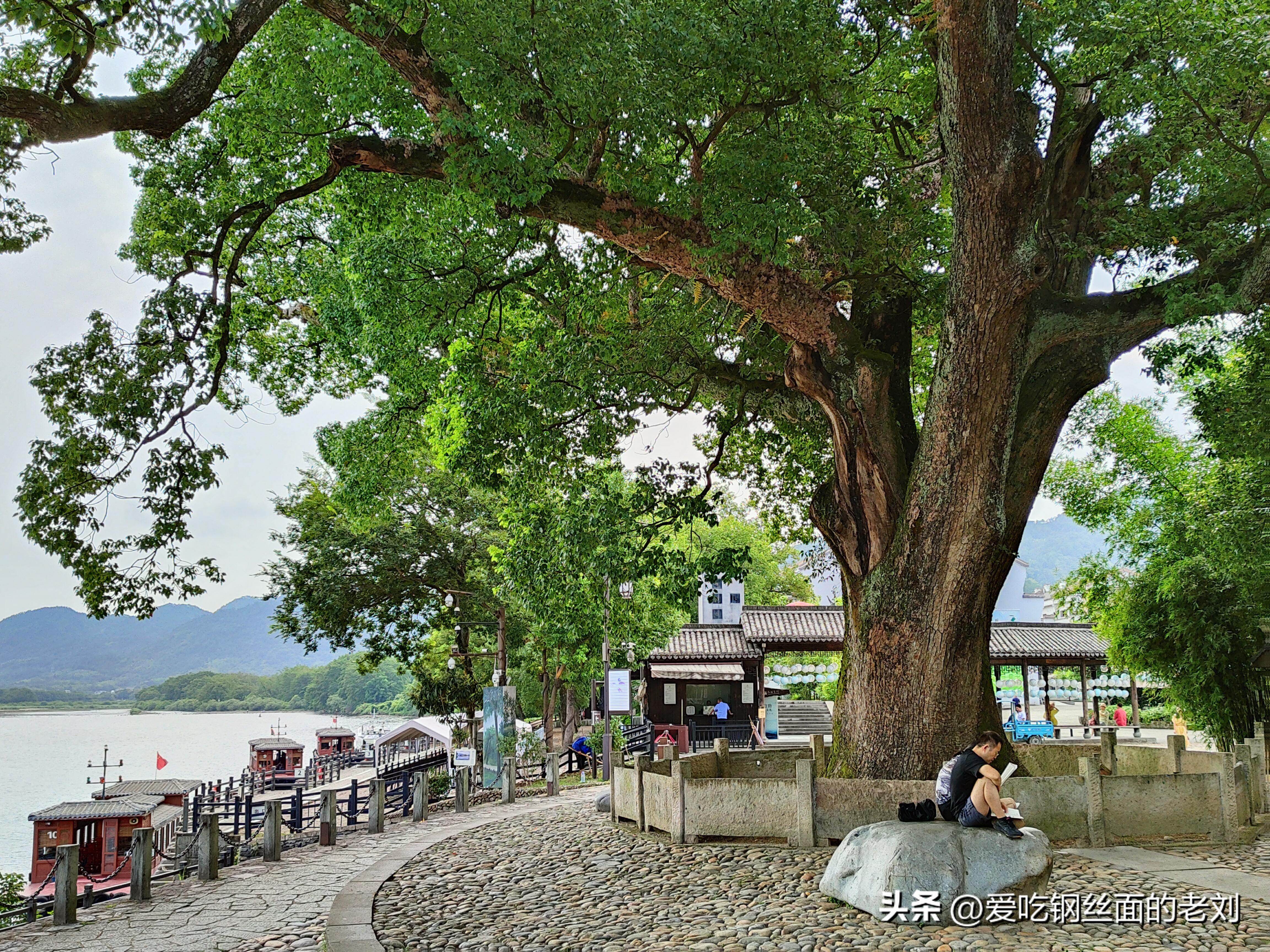 丽水画堰水乡一日游_丽水的古堰画乡_丽水摄影 古堰画乡旅游攻略
