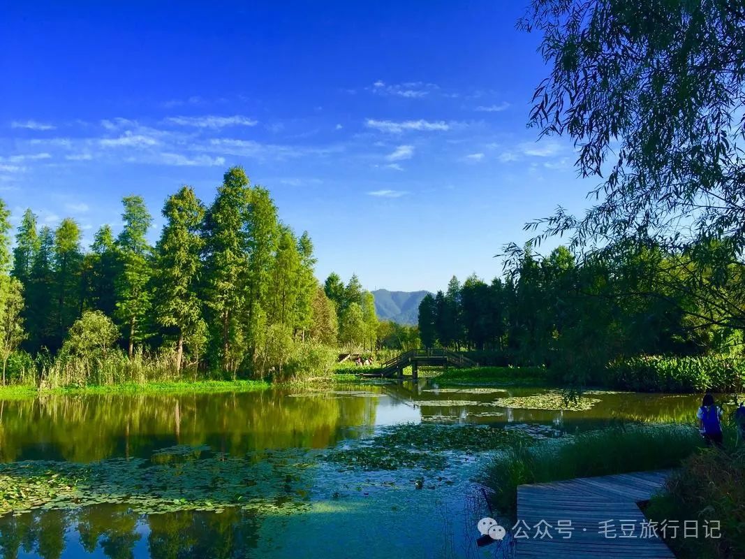 苏州攻略旅游天气预报_苏州2天旅游攻略_宜昌旅游攻略3天自由行攻略