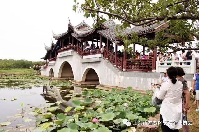 时尚先锋栏目组_星尚频道时尚先锋_先锋频道时尚星尚节目表