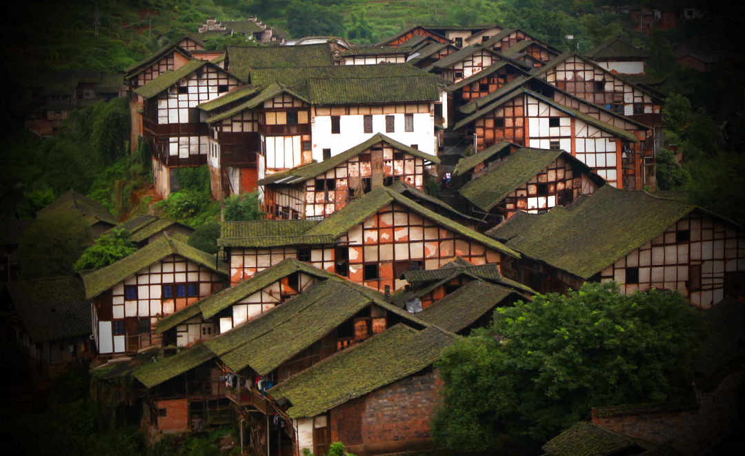 泸州到峨眉山有多少公里_泸州到峨眉山2日_泸州到峨眉山旅游攻略
