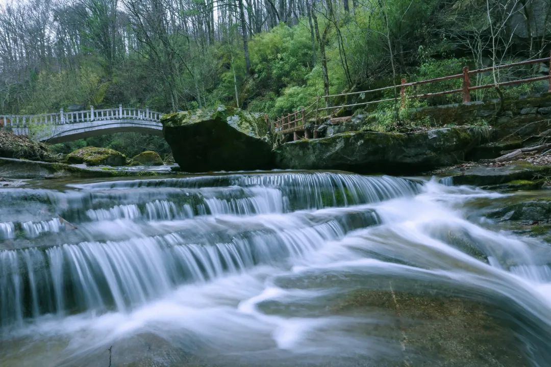 森林公园游玩路线_木王森林公园旅游攻略_森林公园全景