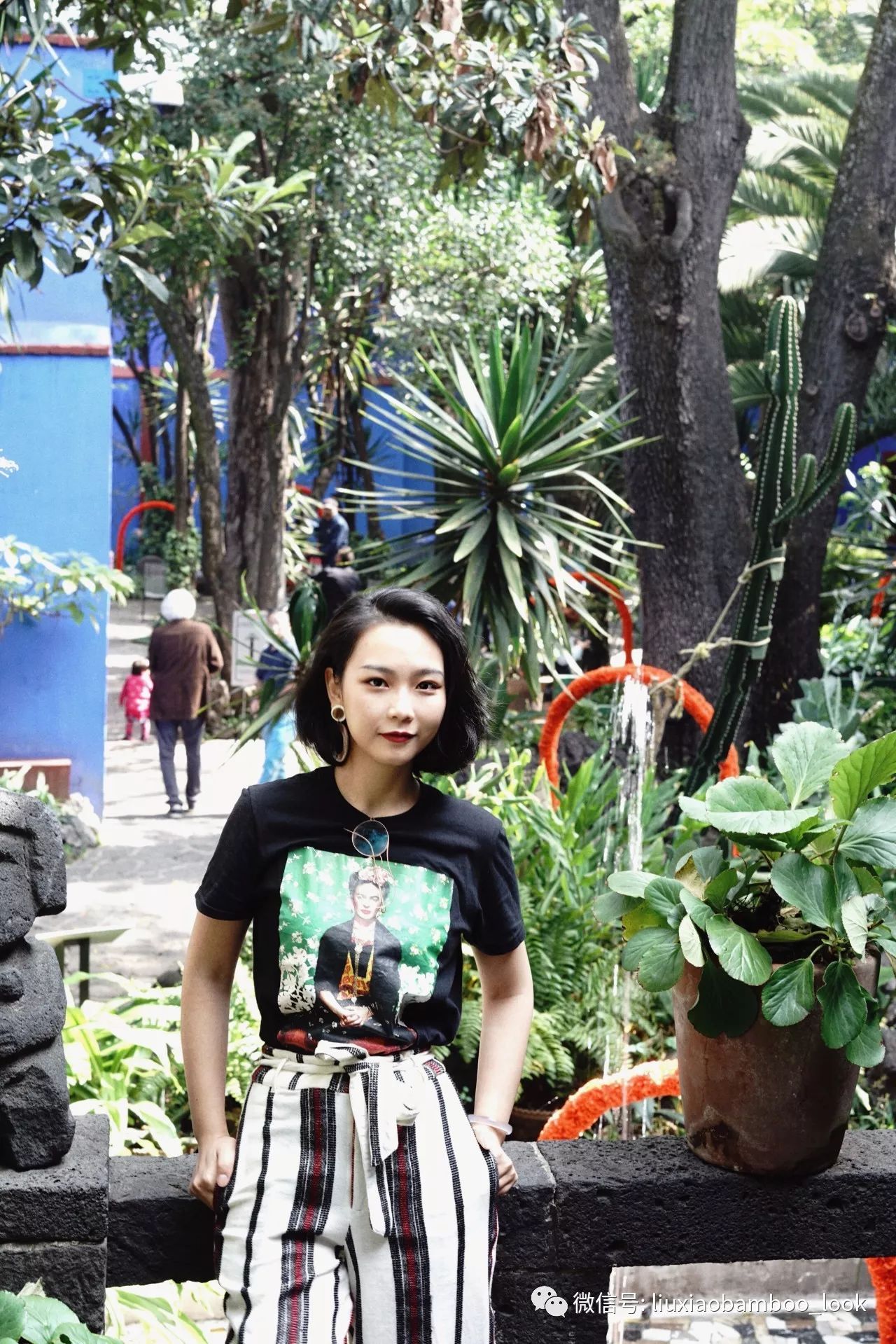 墨西哥旅游地_墨西哥攻略旅游城市推荐_墨西哥城旅游攻略