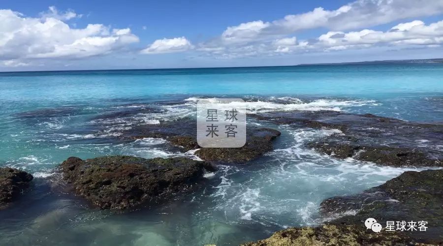 台湾高雄有什么好玩的_台湾高雄的景点_旅游攻略台湾高雄