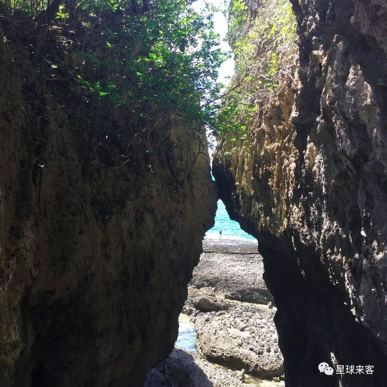 旅游攻略台湾高雄_台湾高雄有什么好玩的_台湾高雄的景点