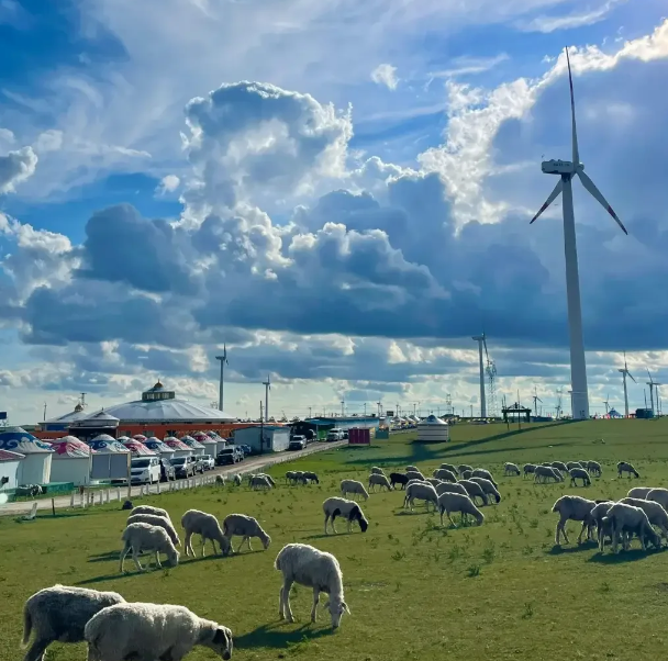 呼伦贝尔旅游指南_呼伦贝尔 旅游攻略_呼伦贝尔游记攻略