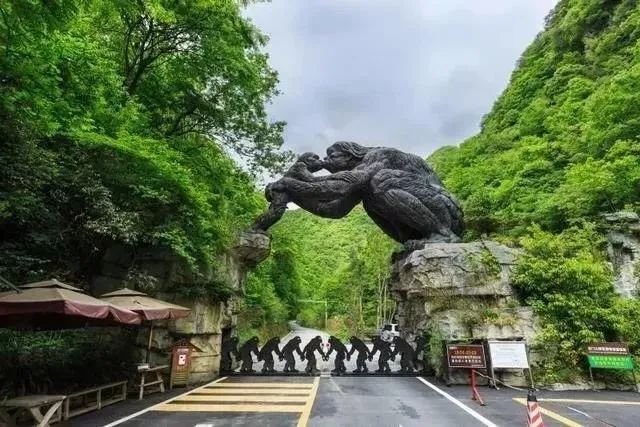 神农架旅游攻略二日游_游玩神农架攻略_神农架旅游攻略一日游