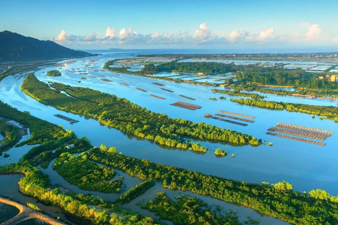 阳江温泉度假村电话号码_阳江温泉度假村旅游攻略_阳江温泉度假村酒店电话