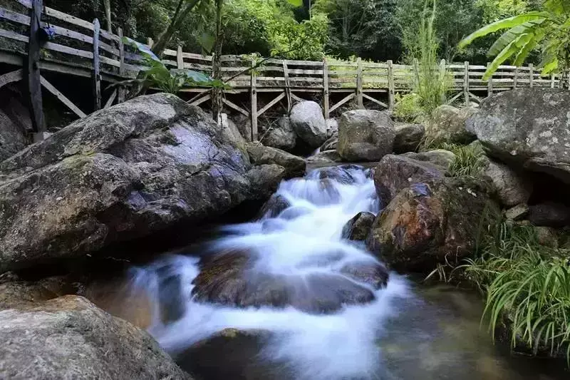梅州雁鸣湖旅游攻略-梅州雁鸣湖景区图片(图30) 梅州雁鸣湖旅游度假村官方网站_梅州雁鸣湖景区图片_梅州雁鸣湖旅游攻略