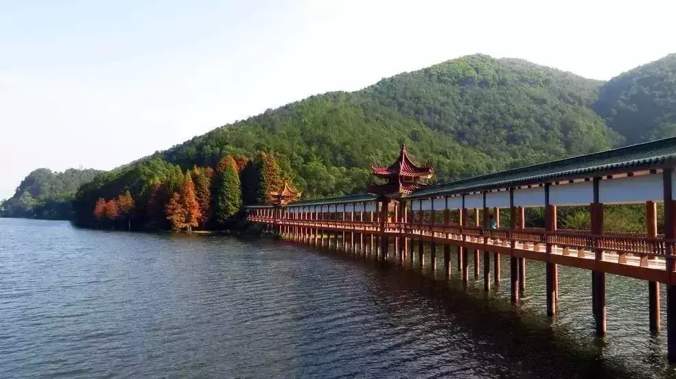 梅州雁鸣湖旅游攻略-梅州雁鸣湖景区图片(图43) 梅州雁鸣湖旅游度假村官方网站_梅州雁鸣湖旅游攻略_梅州雁鸣湖景区图片
