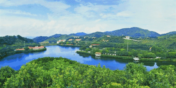 梅州雁鸣湖旅游攻略-梅州雁鸣湖景区图片(图62) 梅州雁鸣湖旅游攻略_梅州雁鸣湖旅游度假村官方网站_梅州雁鸣湖景区图片