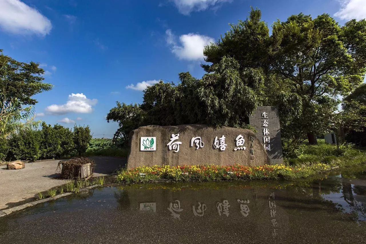 上海金山旅游攻略_上海金山旅游景点大全排名_上海金山旅游景点推荐