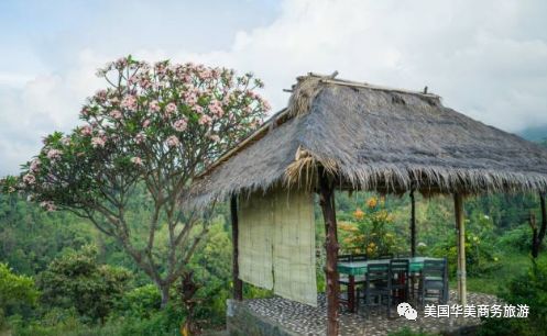 帕劳群岛旅游攻略_帕劳群岛图片欣赏_帕劳群岛地图上的位置