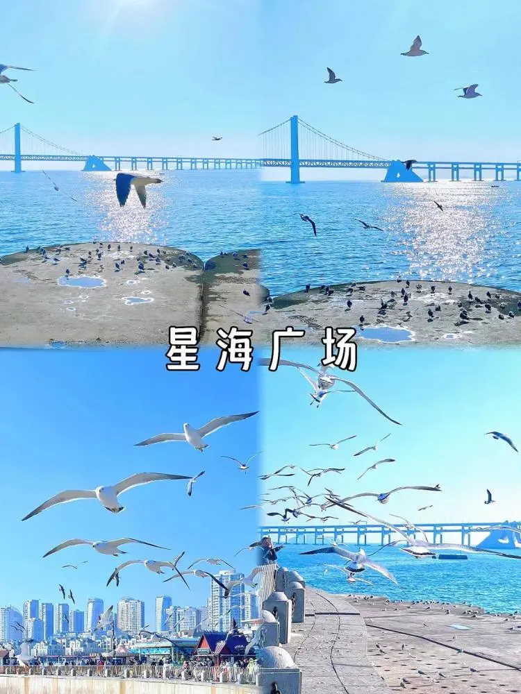 大连4天旅游攻略自助游_大连自助游攻略5天_大连自助推荐