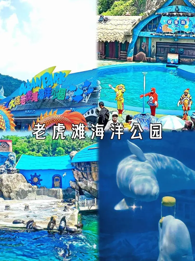 大连自助推荐_大连4天旅游攻略自助游_大连自助游攻略5天