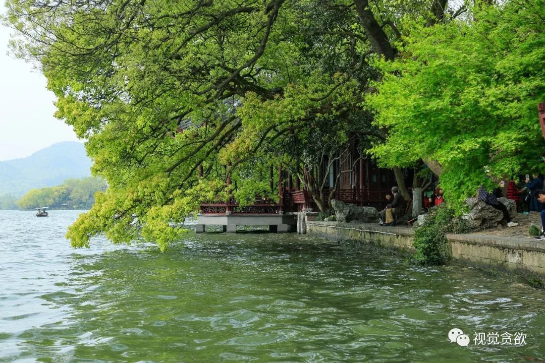 杭州千岛湖旅游景点_杭卅千岛湖旅游_杭州千岛湖一日旅游攻略