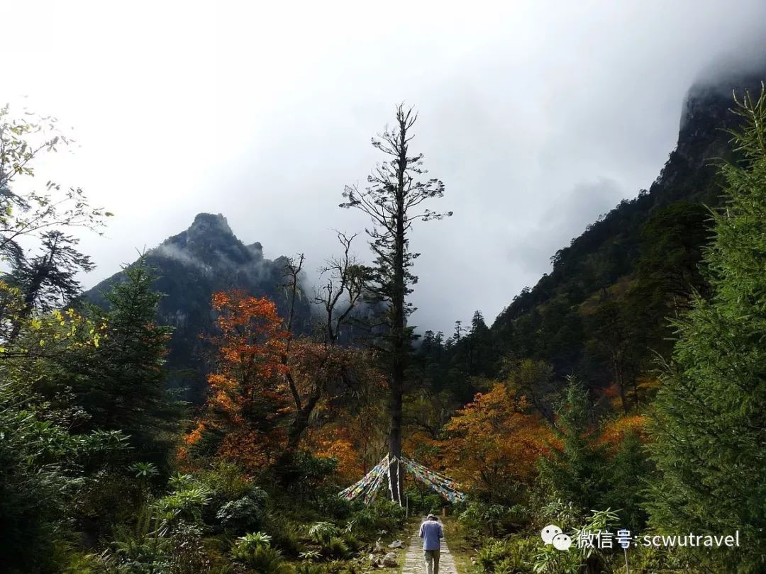 九寨沟七藏沟旅游攻略自由行_七藏沟值得去吗_七藏沟徒步攻略
