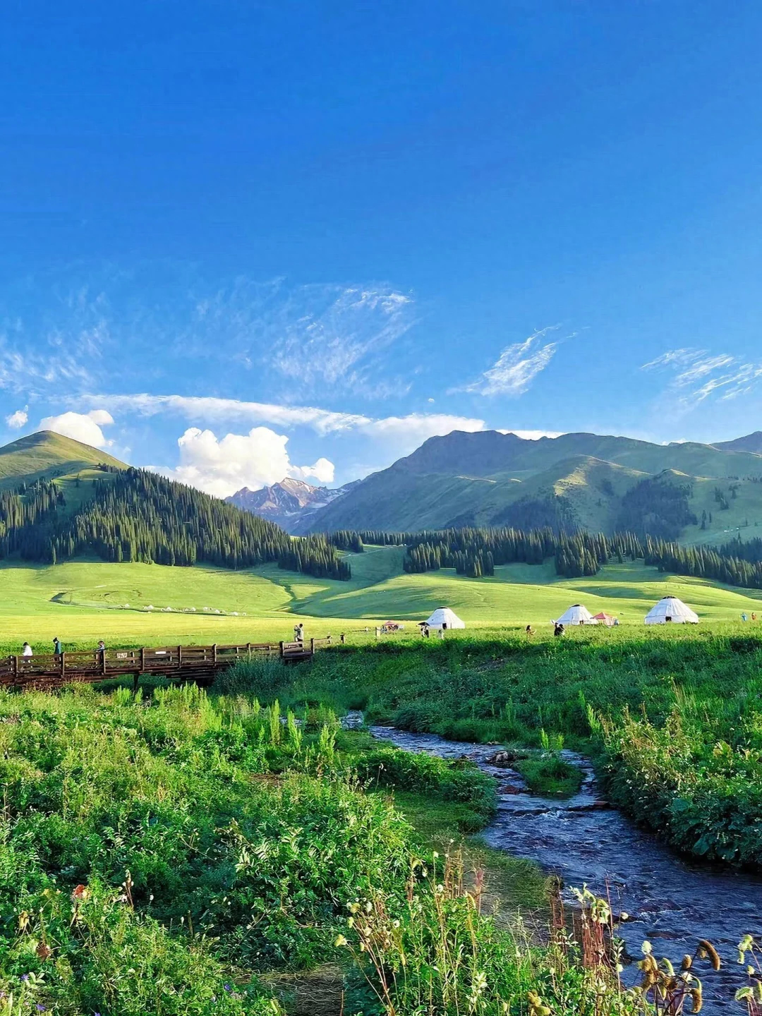 旅游攻略新疆篇_攻略新疆旅游的文案_新疆 旅游攻略