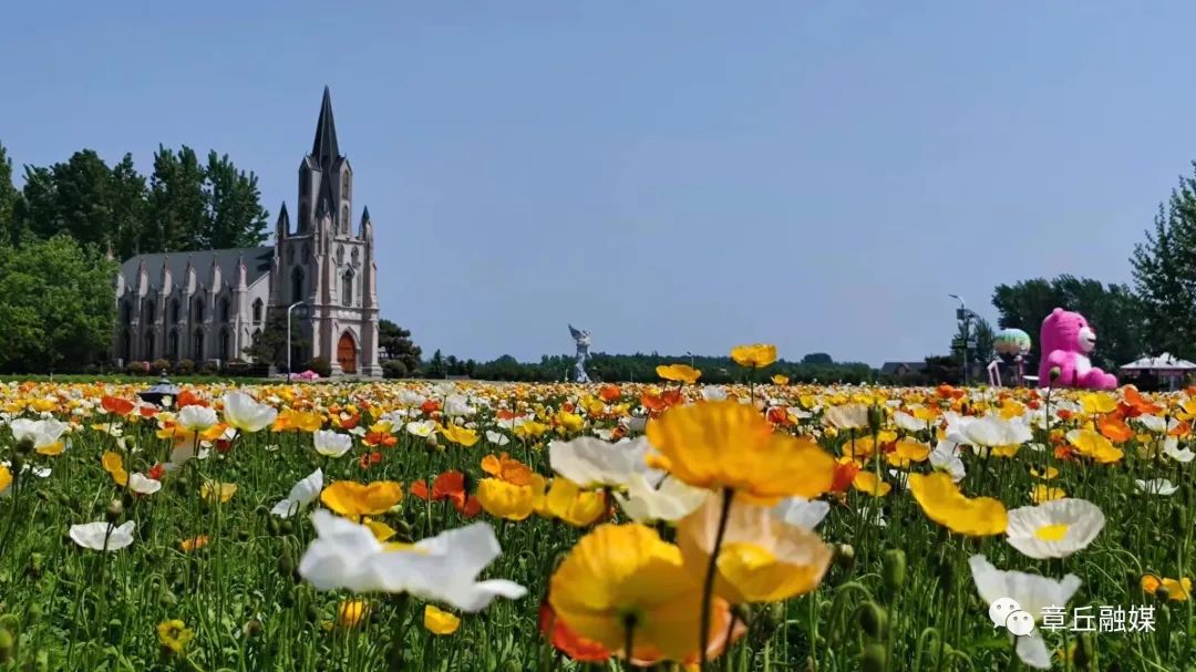 山东章丘朱家峪风景区_章丘市朱家峪旅游攻略_章丘古村落朱家峪