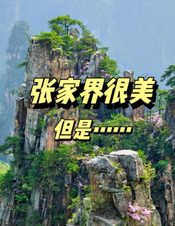 张家界凤凰旅游攻略网_长沙张家界凤凰旅游攻略_张家界凤凰旅游游记攻略